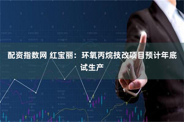 配资指数网 红宝丽：环氧丙烷技改项目预计年底试生产