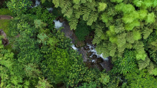 炒股配资门户网 七八月出游必去这6座避暑小城，人少景美物价低，凉爽度爆表！